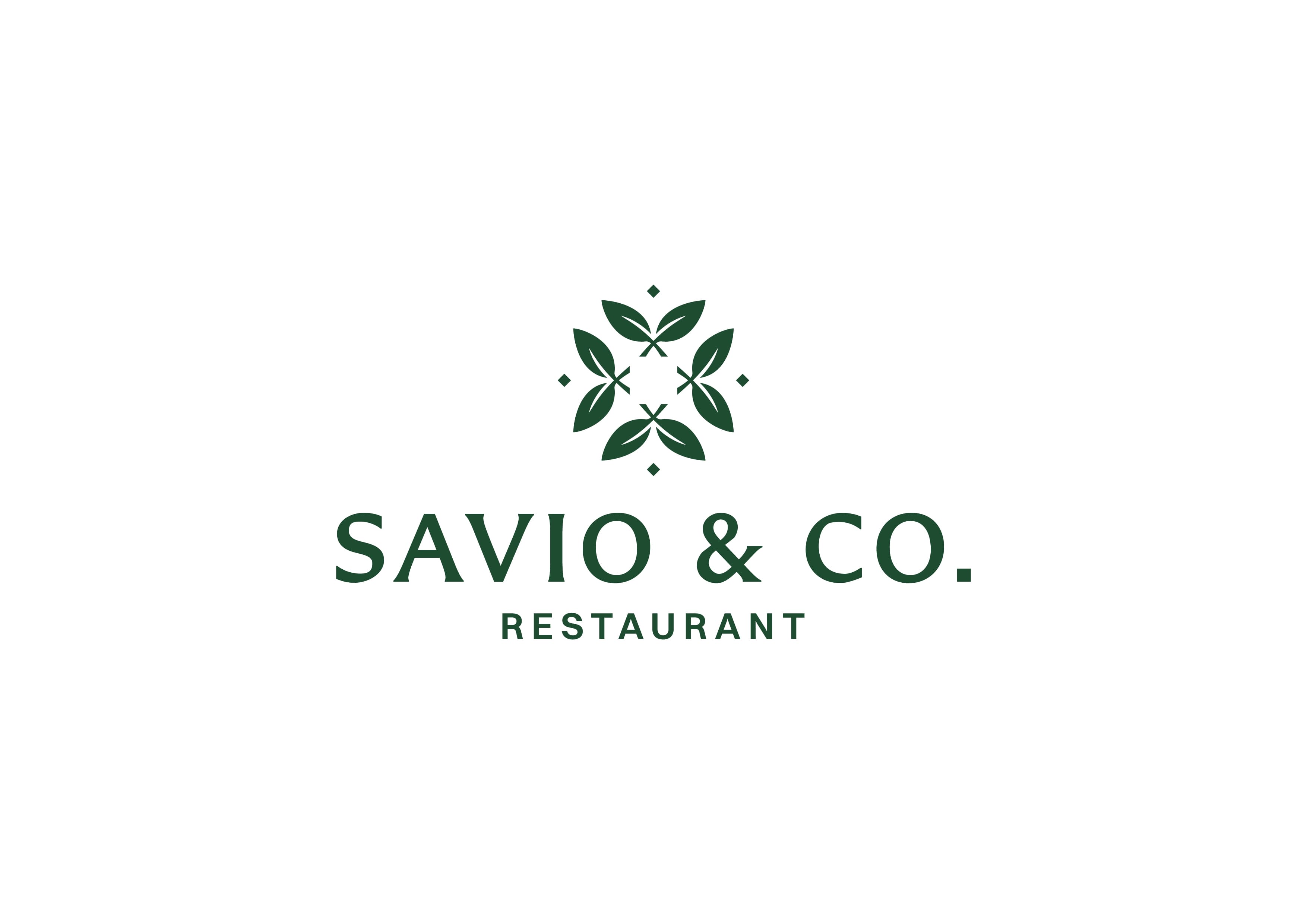 Savio & Co Logo Design